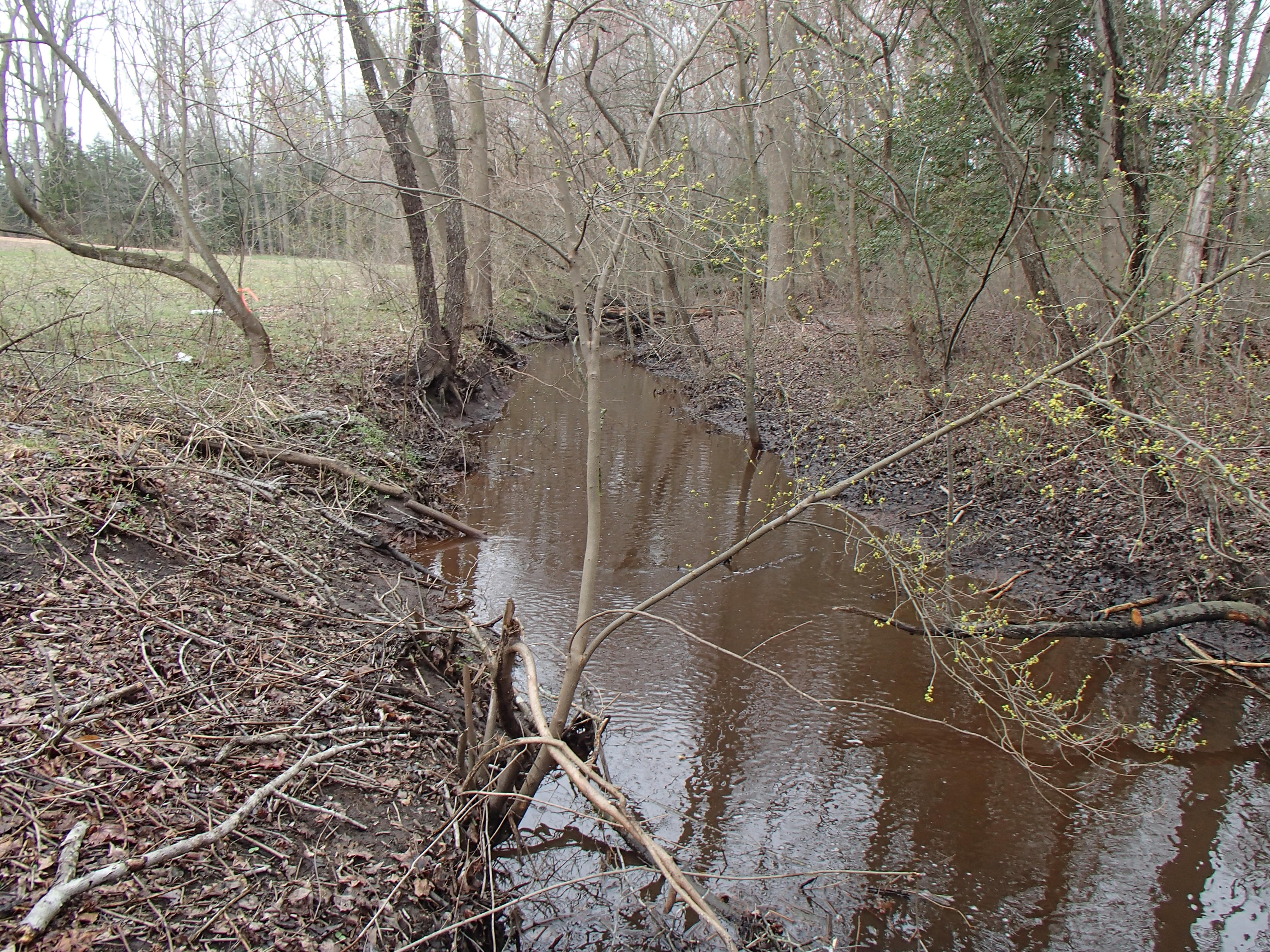 Field photo showing stream conditions at site NANT-109-R-2016_midpoint looking upstream